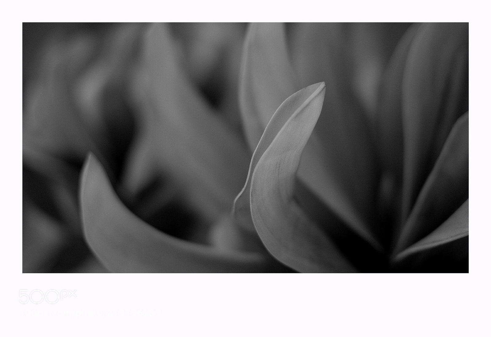 Fujifilm X-T1 sample photo. Debrecen photography