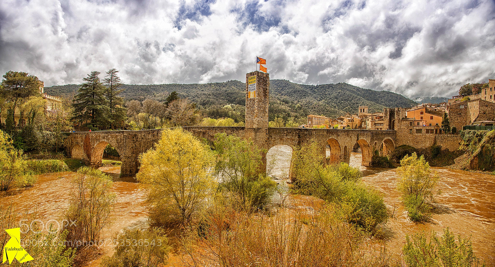 Canon EOS 6D Mark II sample photo. Besalú riuada fluvià abril-2018 photography