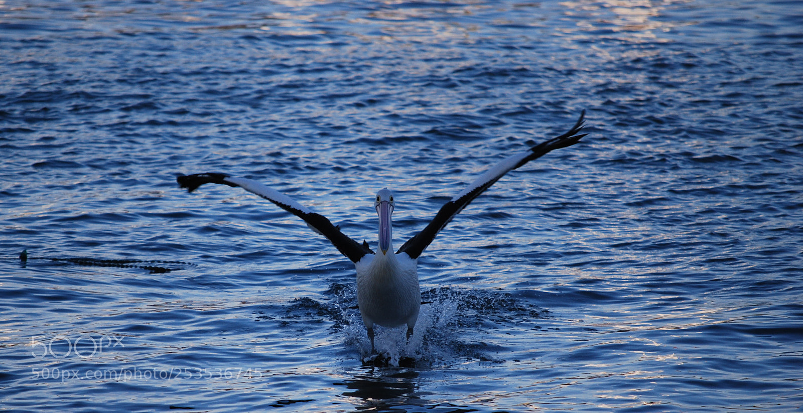 Nikon D40X sample photo. Start landing sequence photography