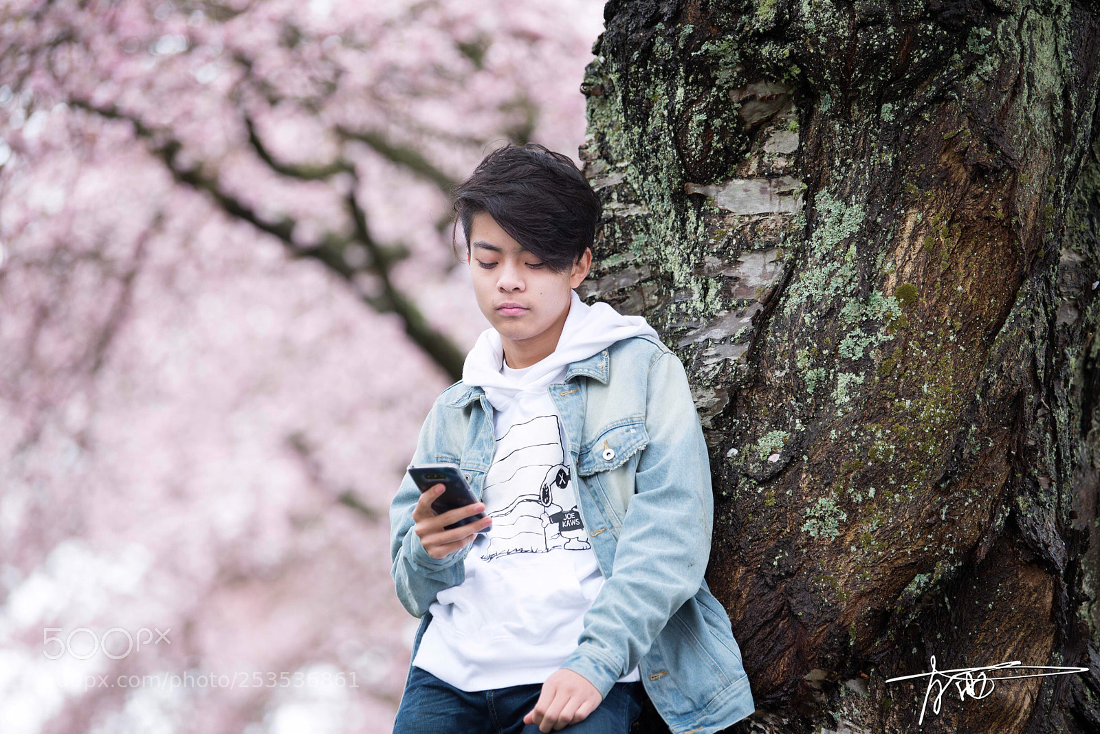 Nikon D610 sample photo. Boy under the flowering photography