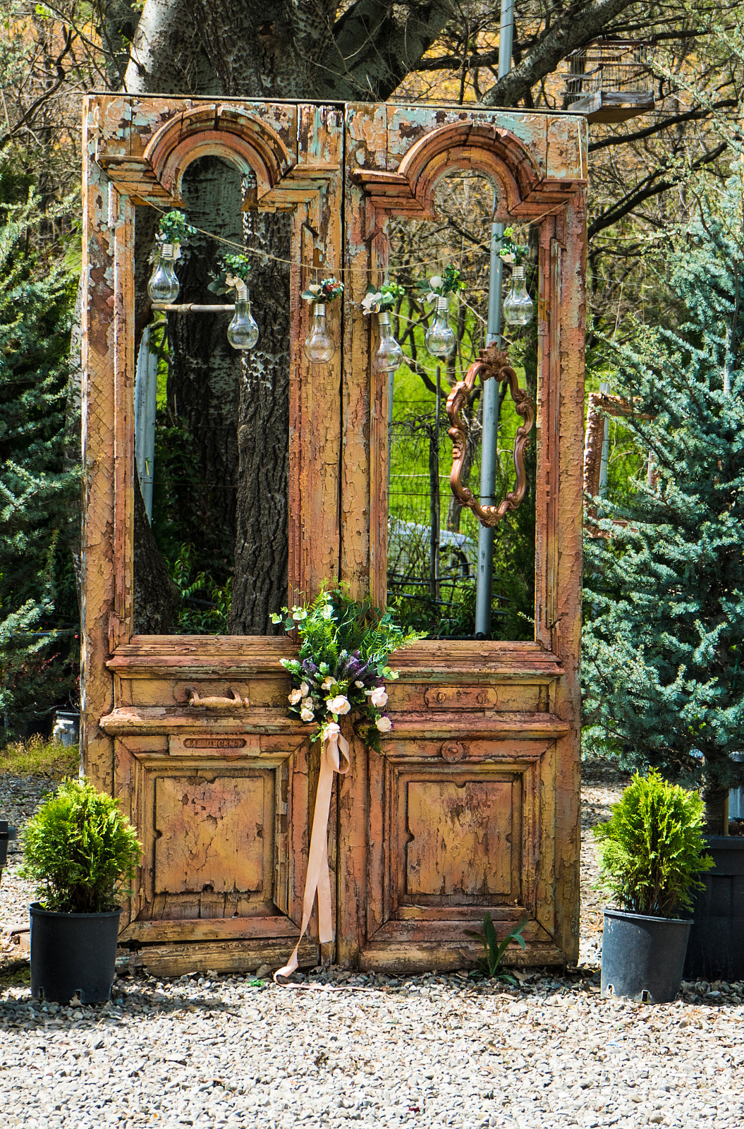 Sony a7 sample photo. Wedding ready yard photography