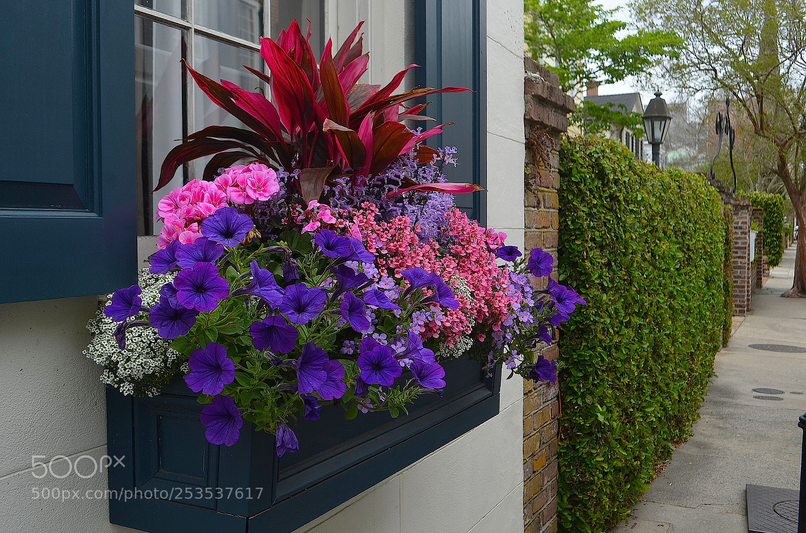 Nikon D5100 sample photo. Flower box, historic district photography