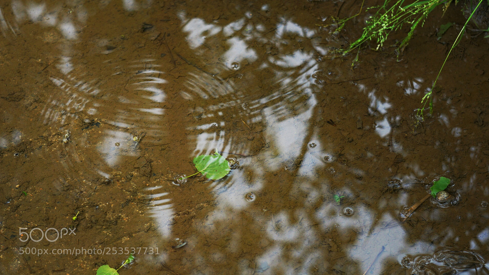 Sony a6000 sample photo. Untitled photography
