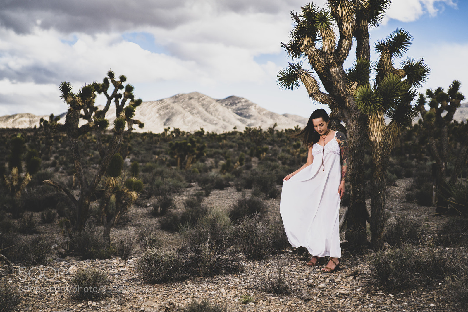 Sony a99 II sample photo. Sarah m. photography