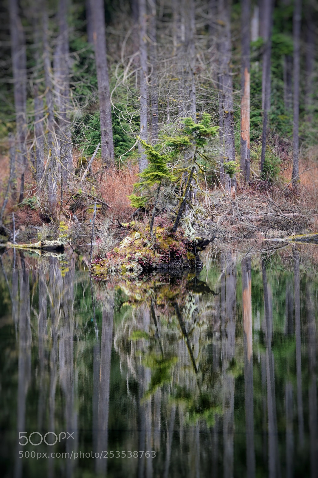Nikon D5300 sample photo. Lake views photography