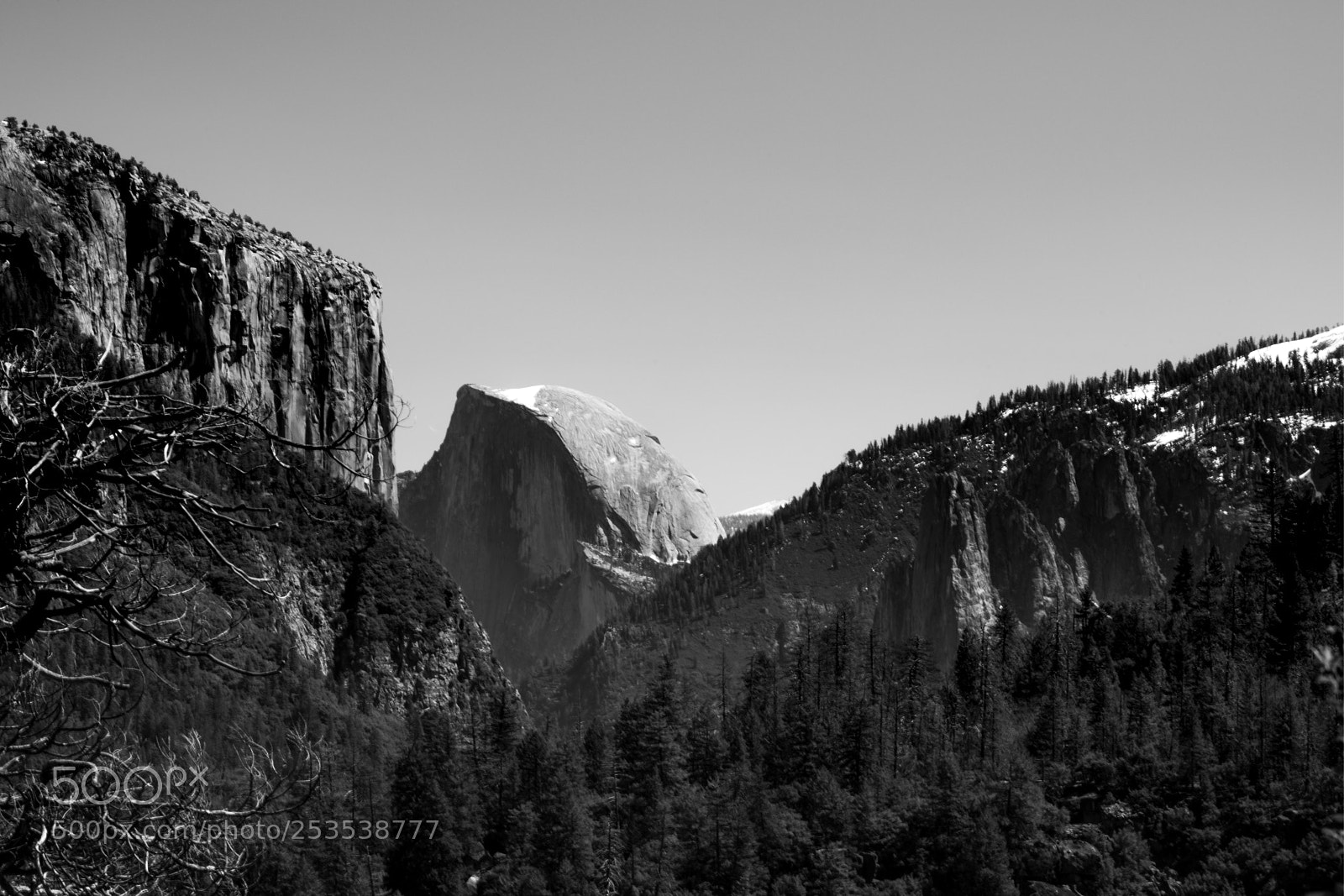 Nikon D850 sample photo. Untitled photography