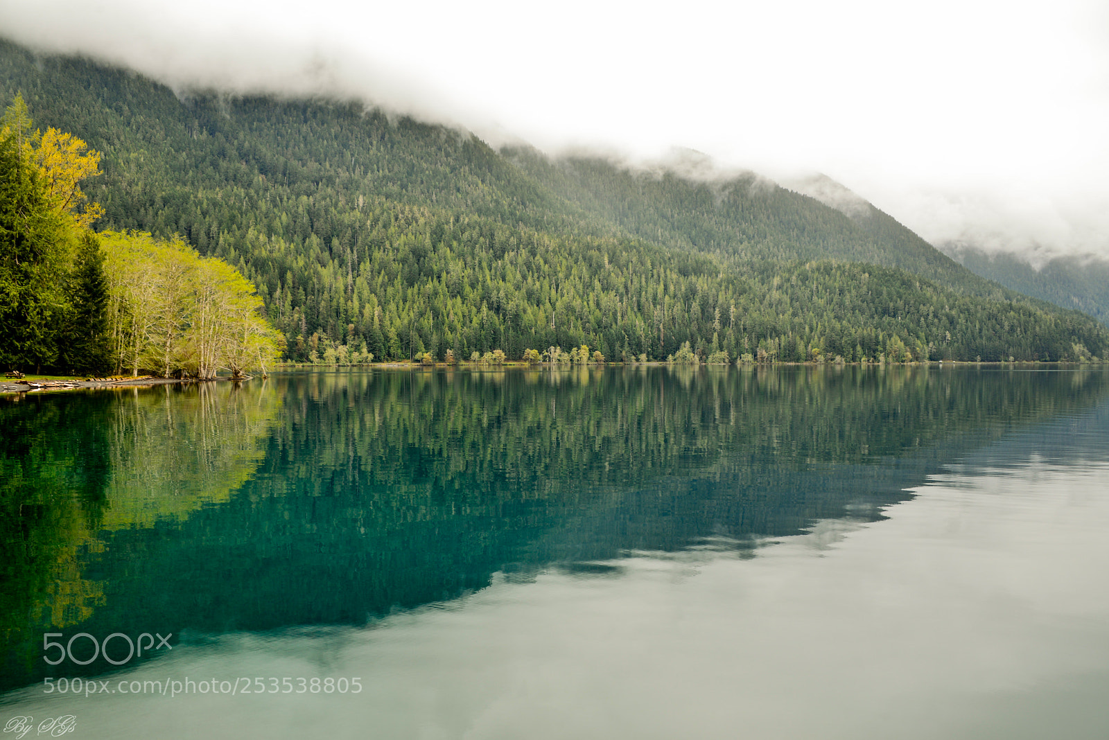 Nikon D610 sample photo. Reflection or glass tube photography