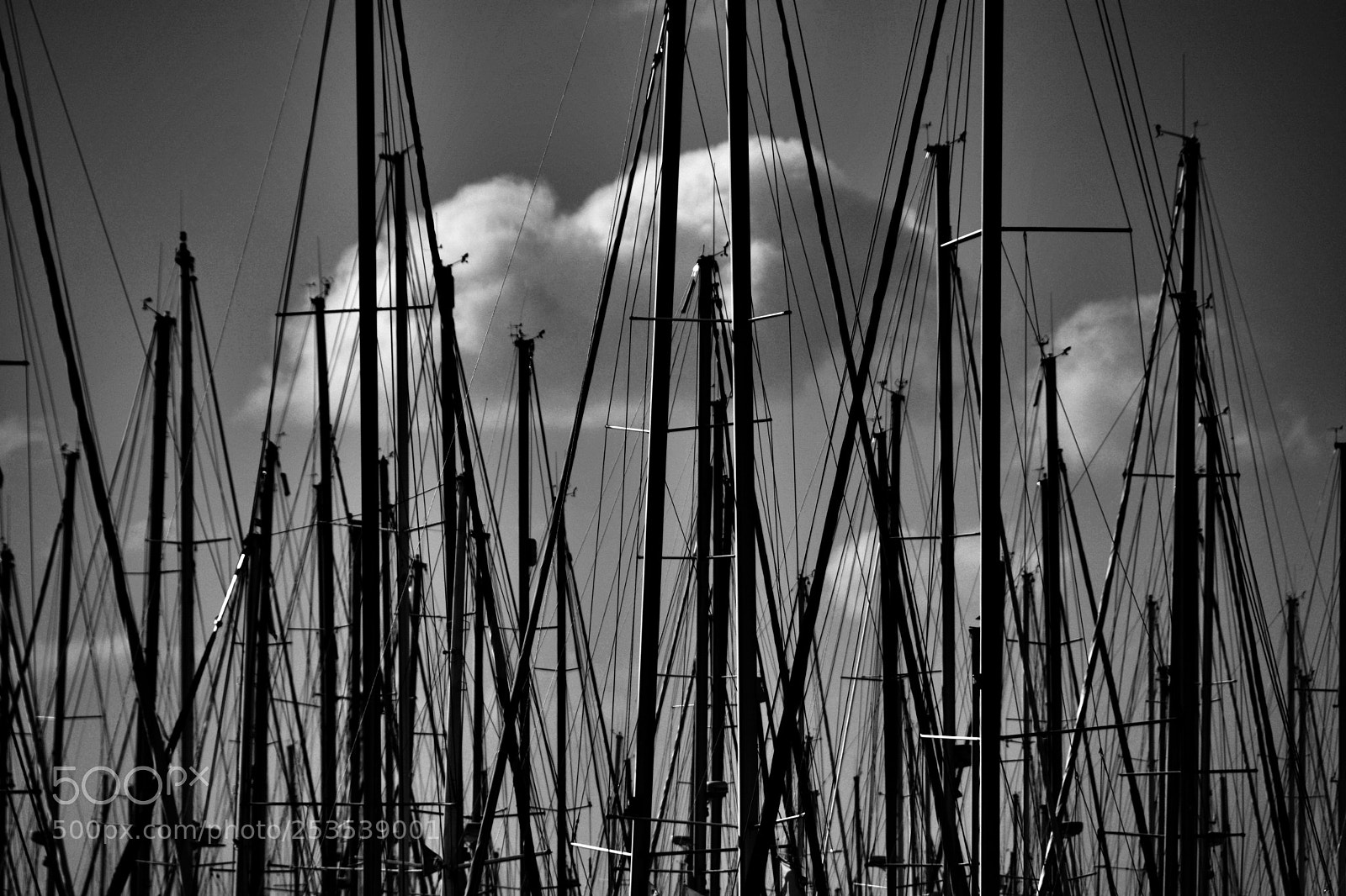 Nikon D7100 sample photo. Le nuage... photography