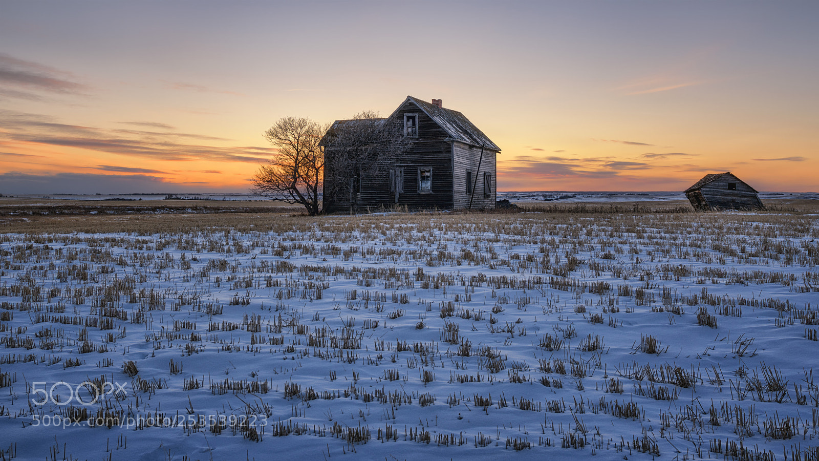 Nikon D850 sample photo. A sunset on winter.... photography