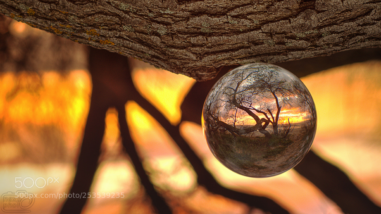 Nikon D7100 sample photo. Sunset in crystal ball photography
