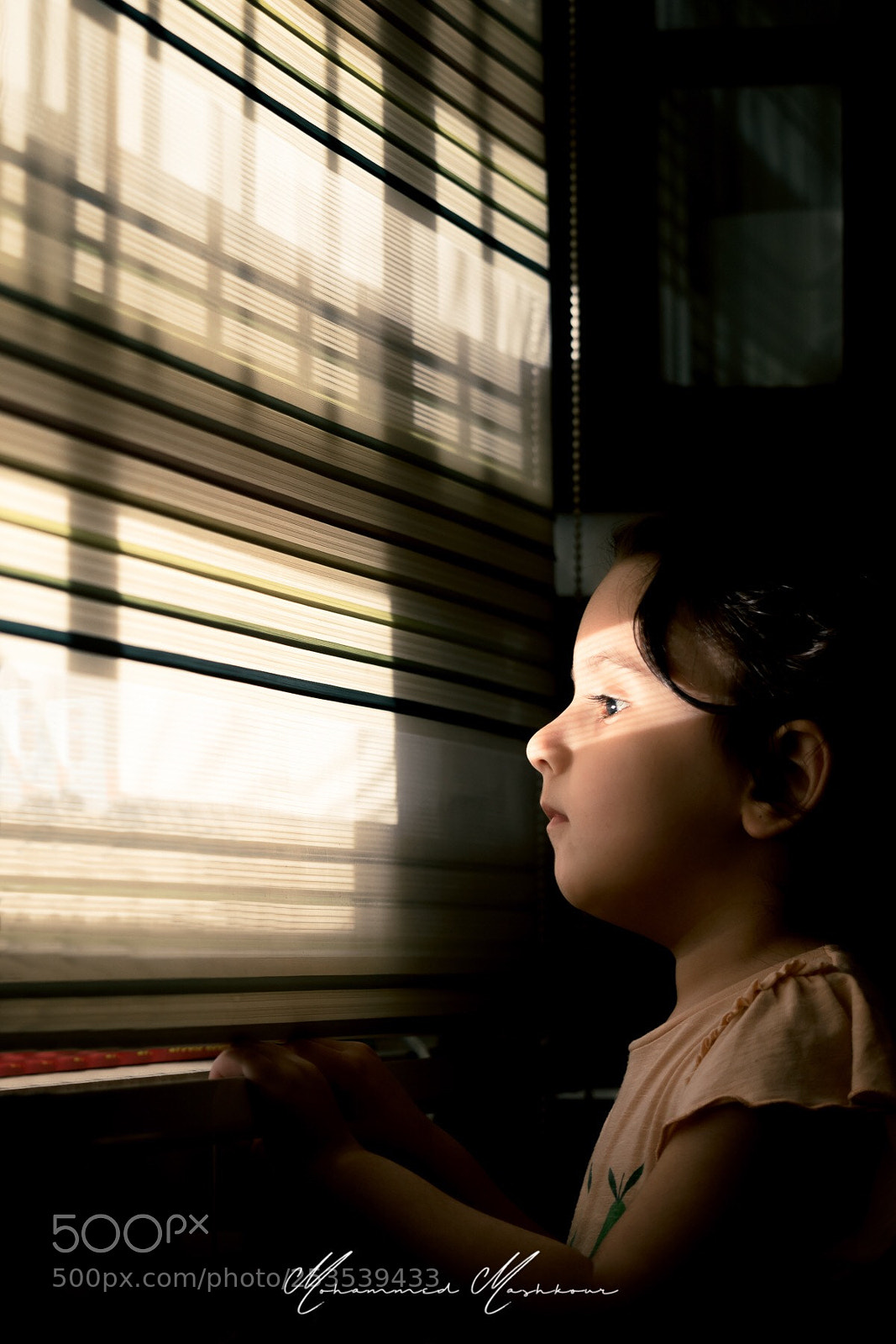 Canon EOS 7D Mark II sample photo. Looking for truth  photography