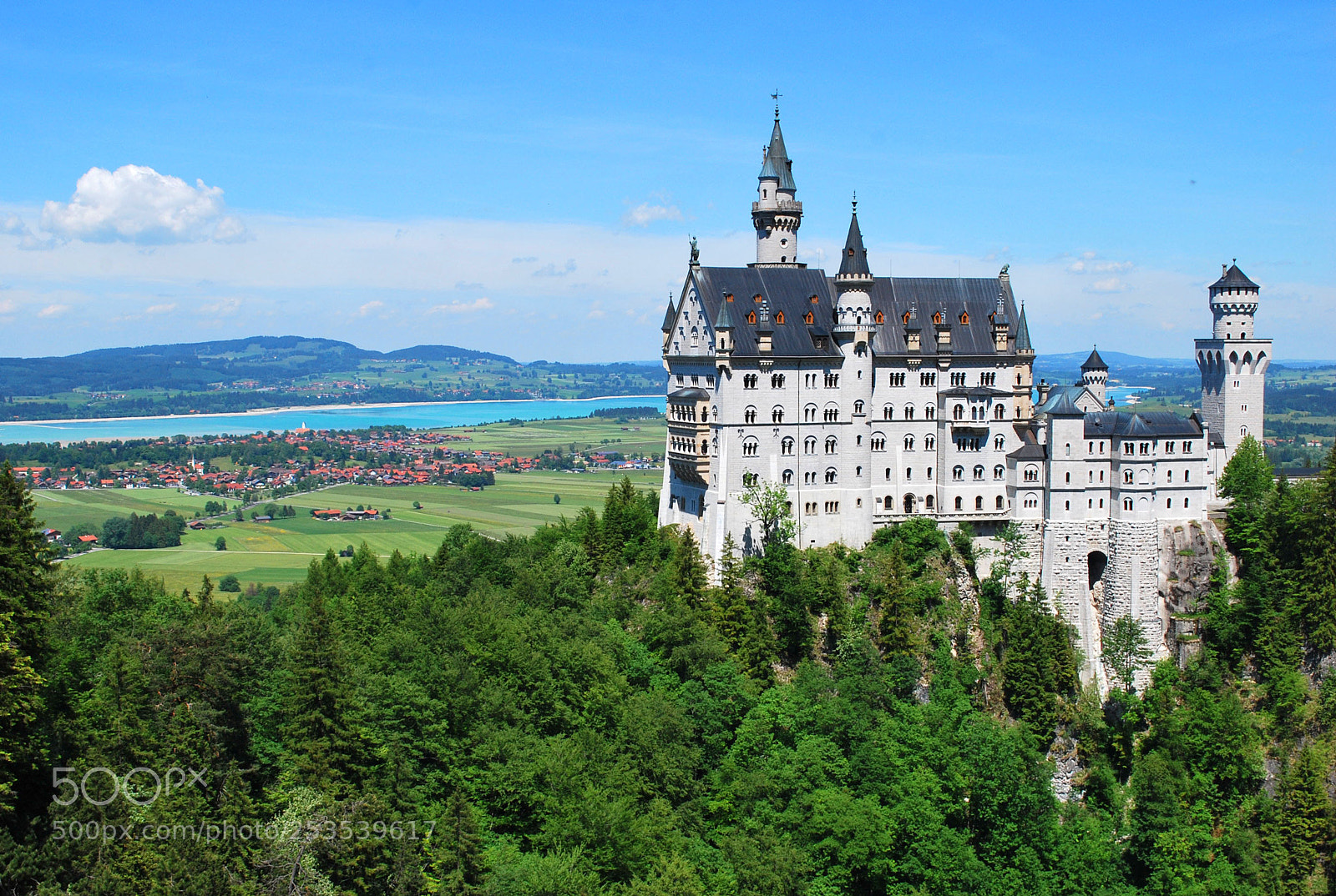 Nikon D60 sample photo. Neuschwanstein castle with cloud photography