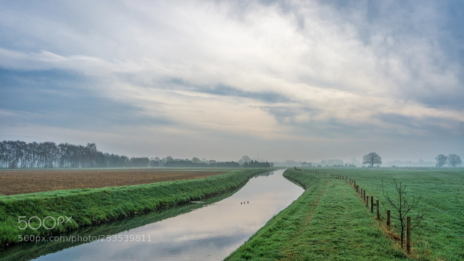 Sony a6000 sample photo. Misty morning in werth photography
