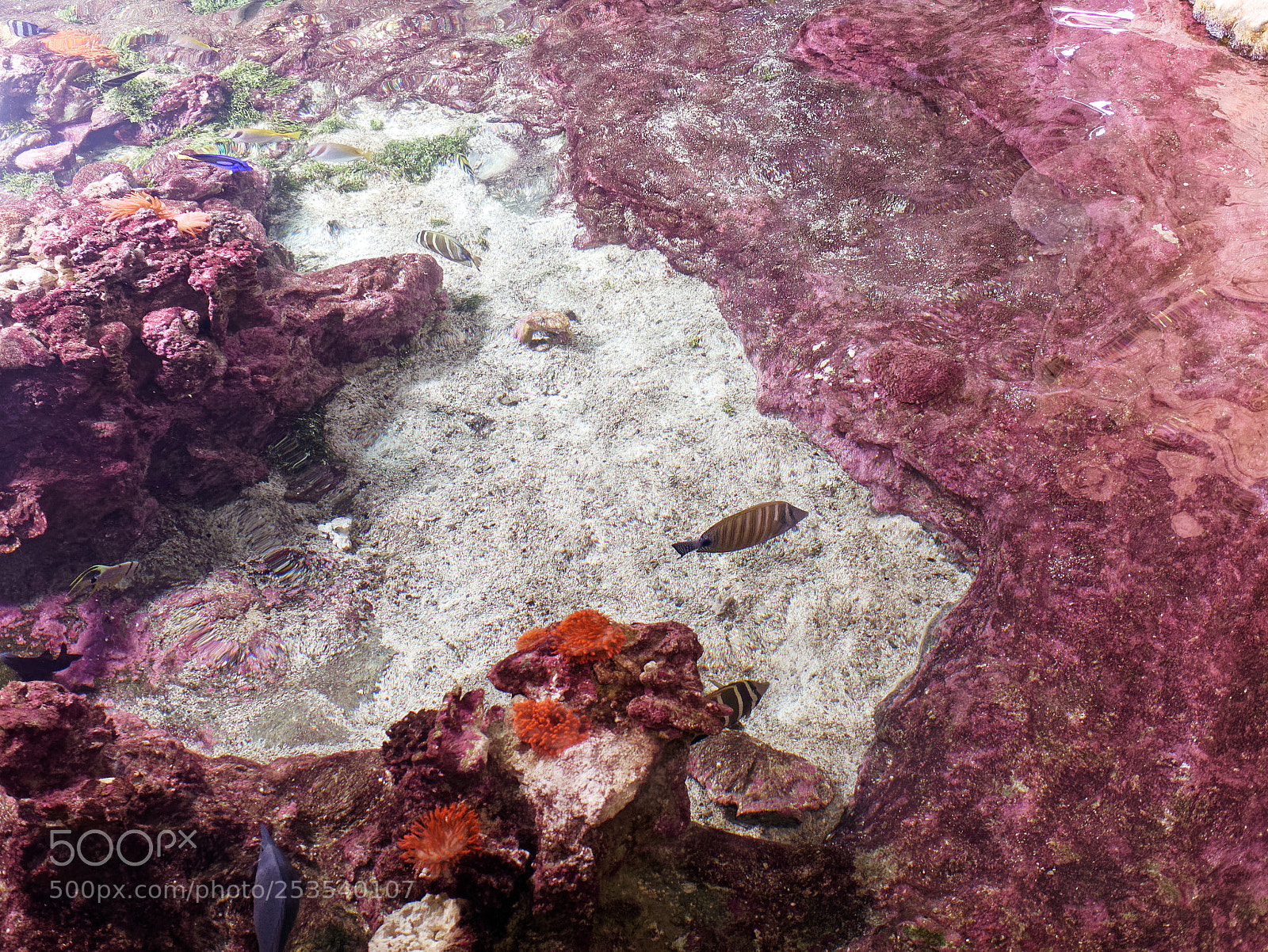 Panasonic Lumix DMC-GX85 (Lumix DMC-GX80 / Lumix DMC-GX7 Mark II) sample photo. Very nice tropical lagoon photography