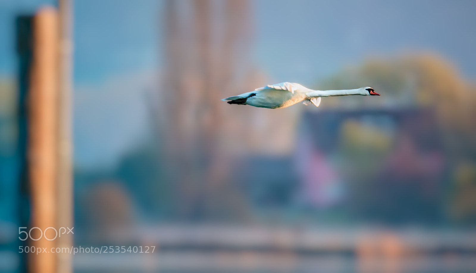 Canon EOS 5DS R sample photo. Flight hh 1404 photography