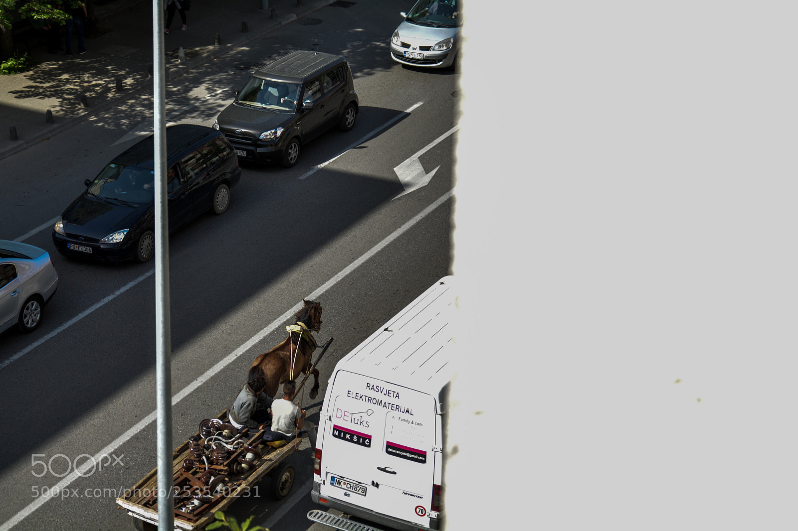 Nikon D7100 sample photo. Horse faster than van photography
