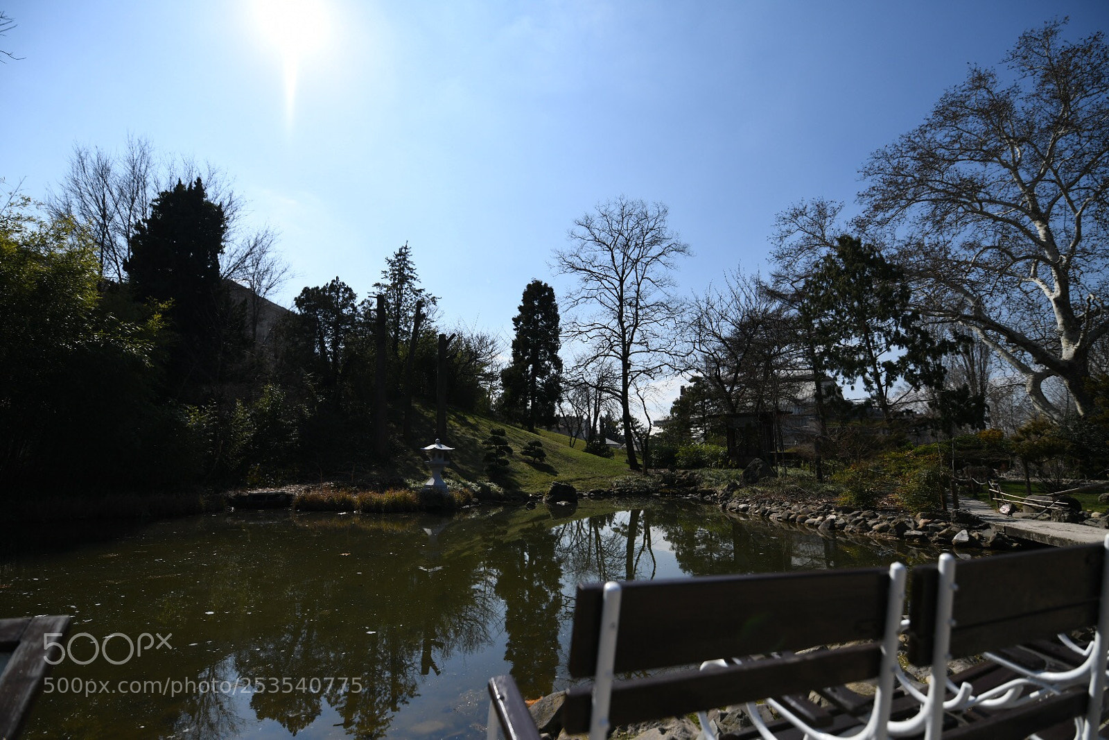 Nikon D850 sample photo. Untitled photography