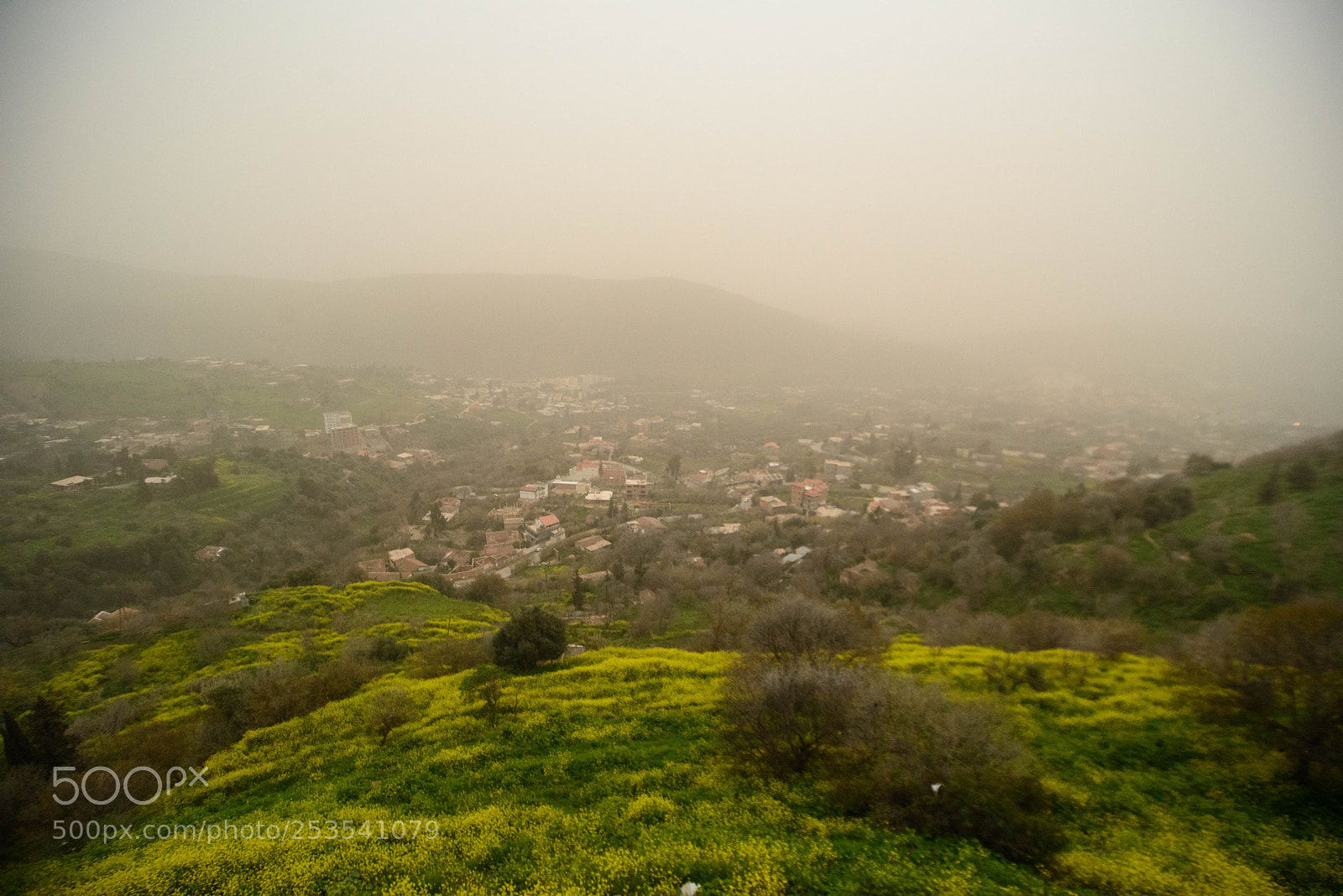 Nikon D800 sample photo. Untitled photography