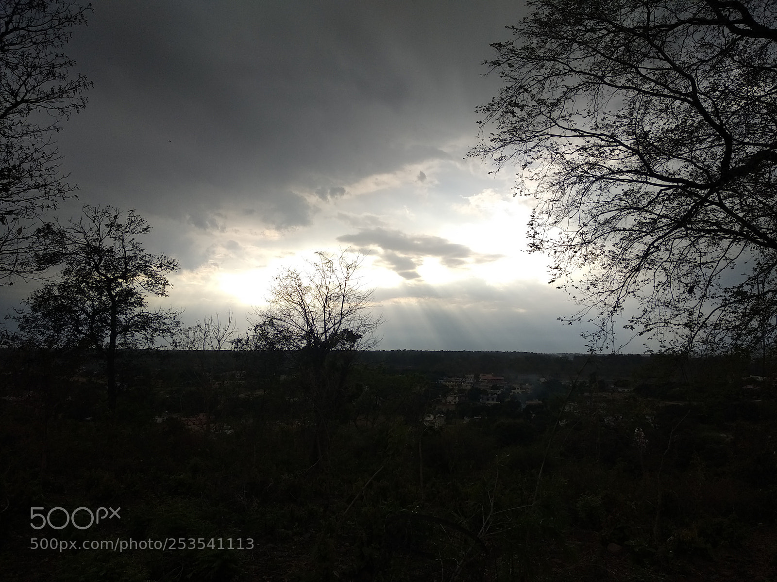 Xiaomi Mi A1 sample photo. Untitled photography