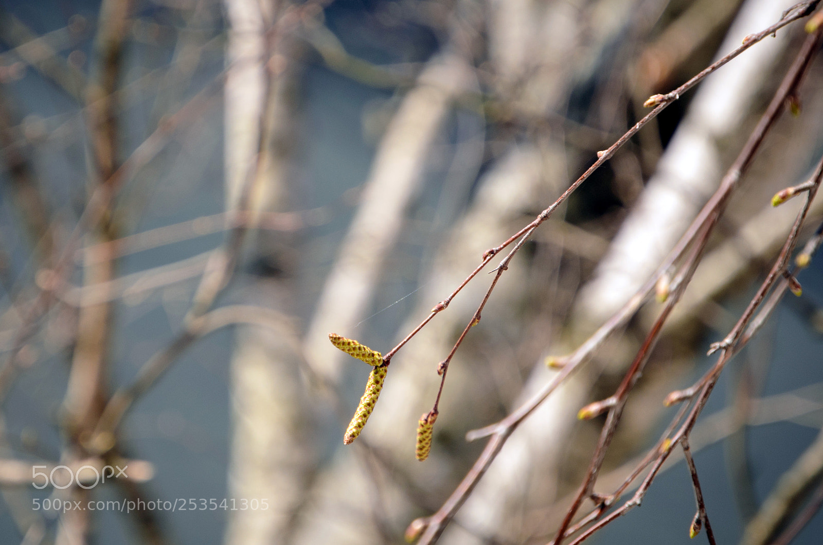 Nikon D7000 sample photo. () photography