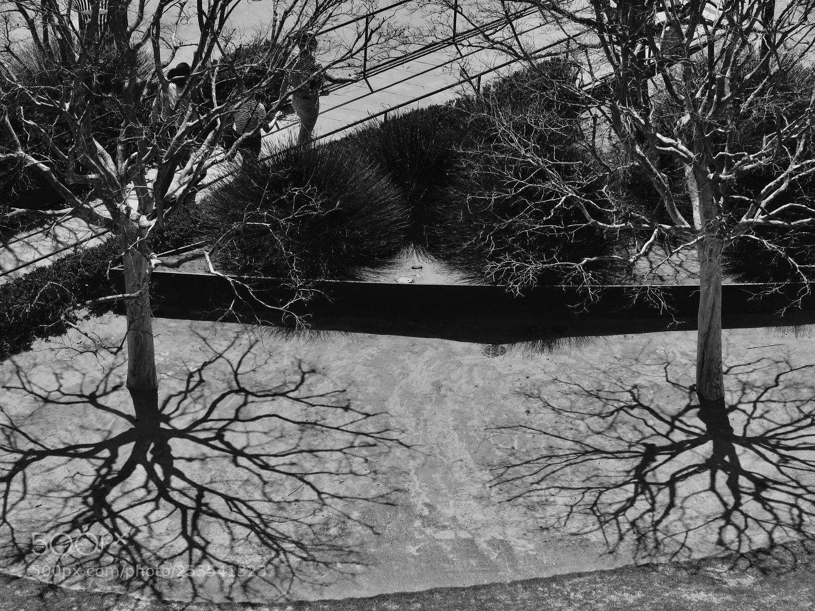 Canon PowerShot SX60 HS sample photo. Getty shadows photography