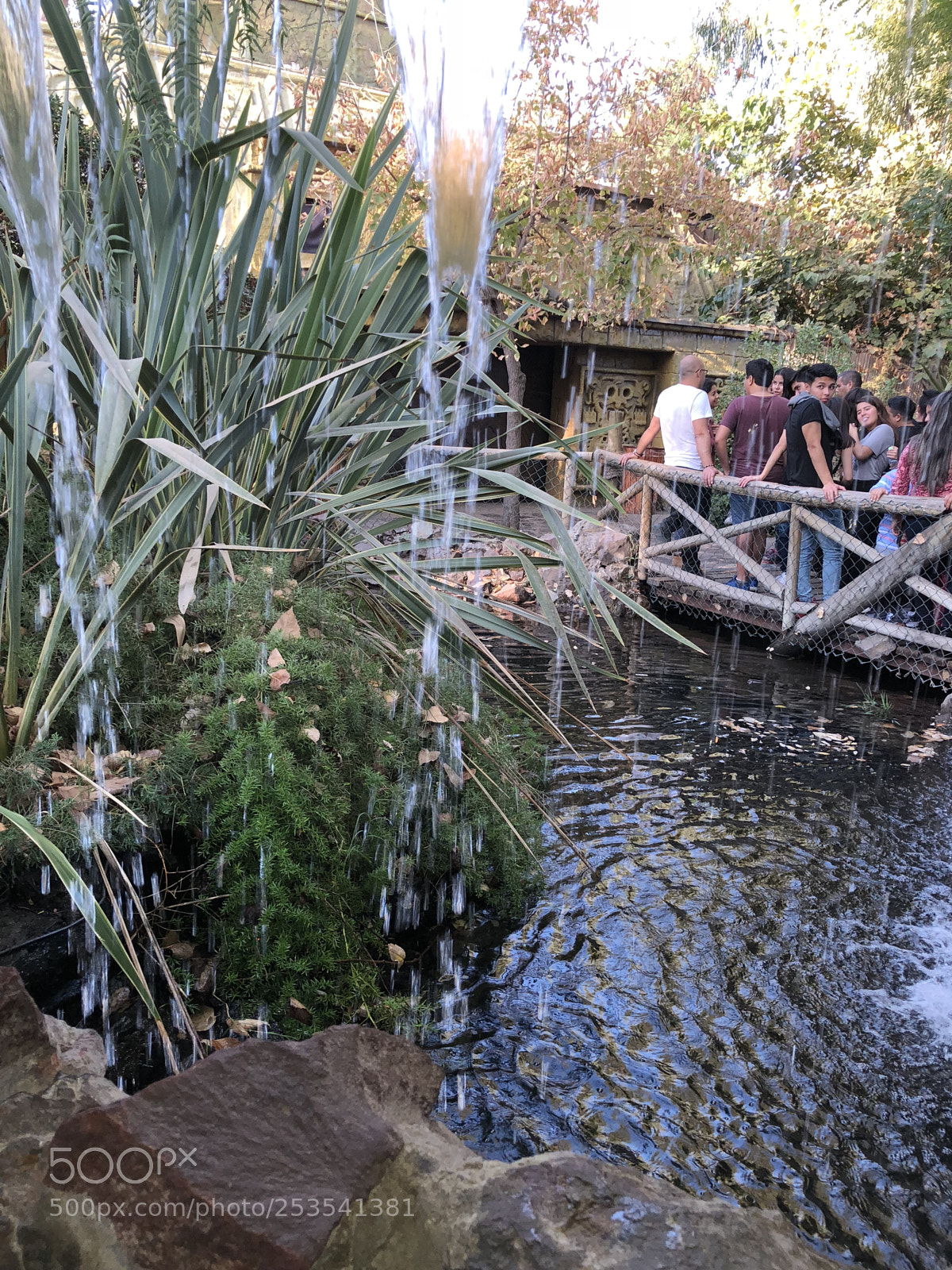 Apple iPhone X sample photo. Untitled photography
