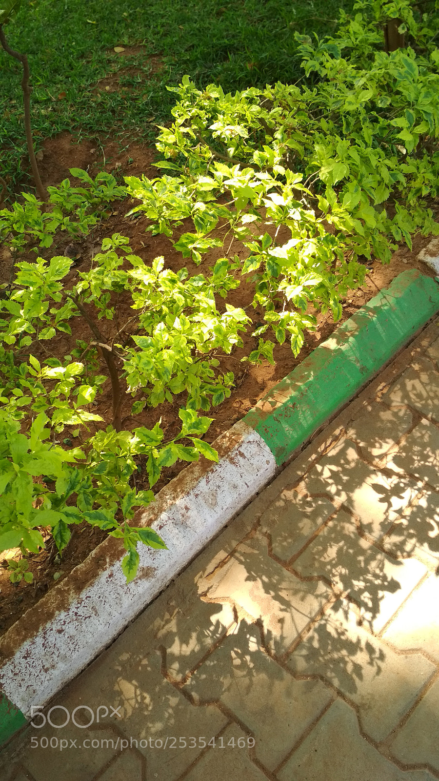 Xiaomi Redmi 4 Pro sample photo. Untitled photography