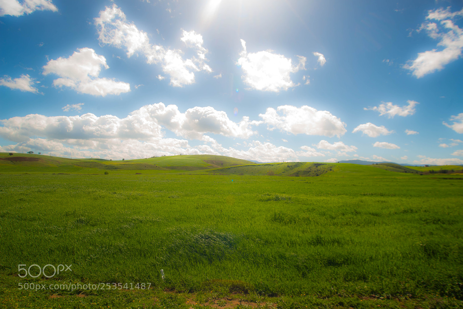 Nikon D800 sample photo. Untitled photography