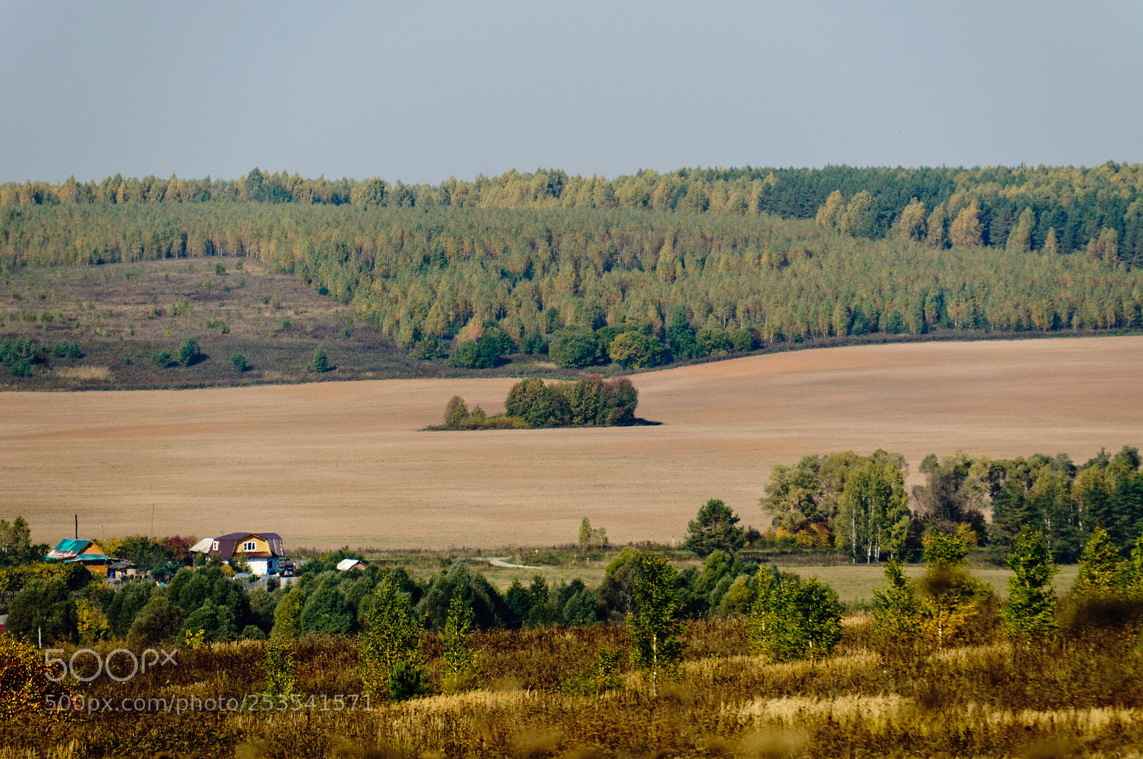 Nikon D5000 sample photo. Island on the dryland photography