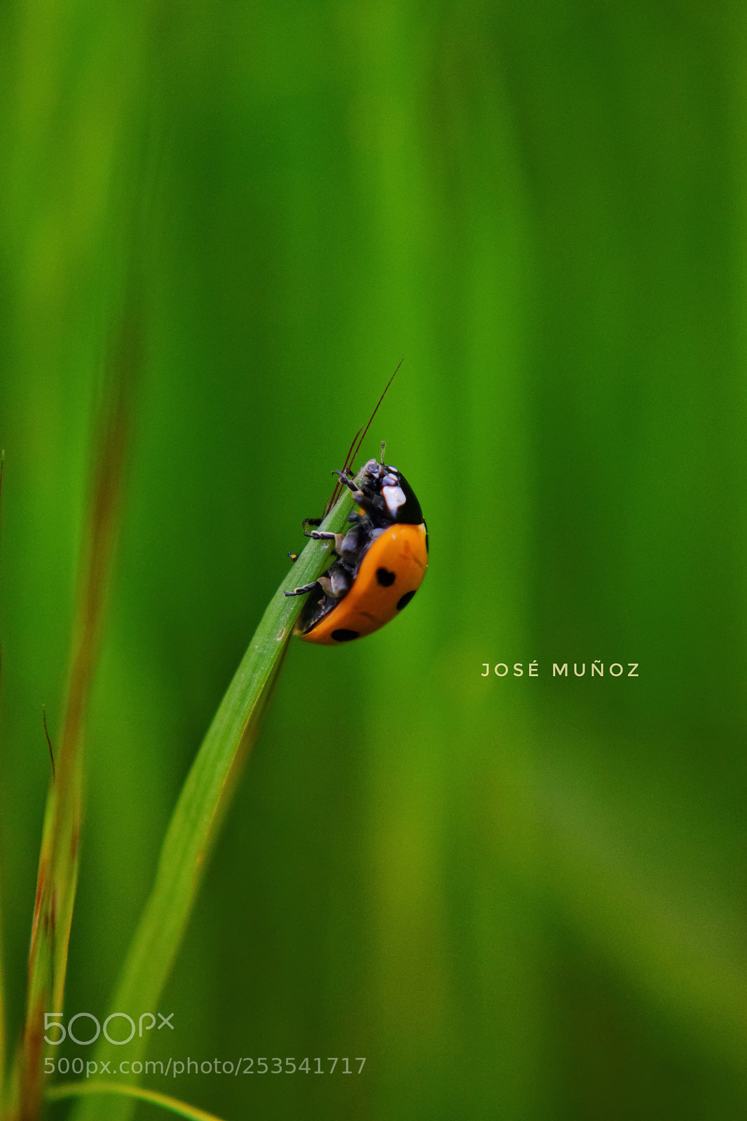 Nikon D3300 sample photo. Al borde photography