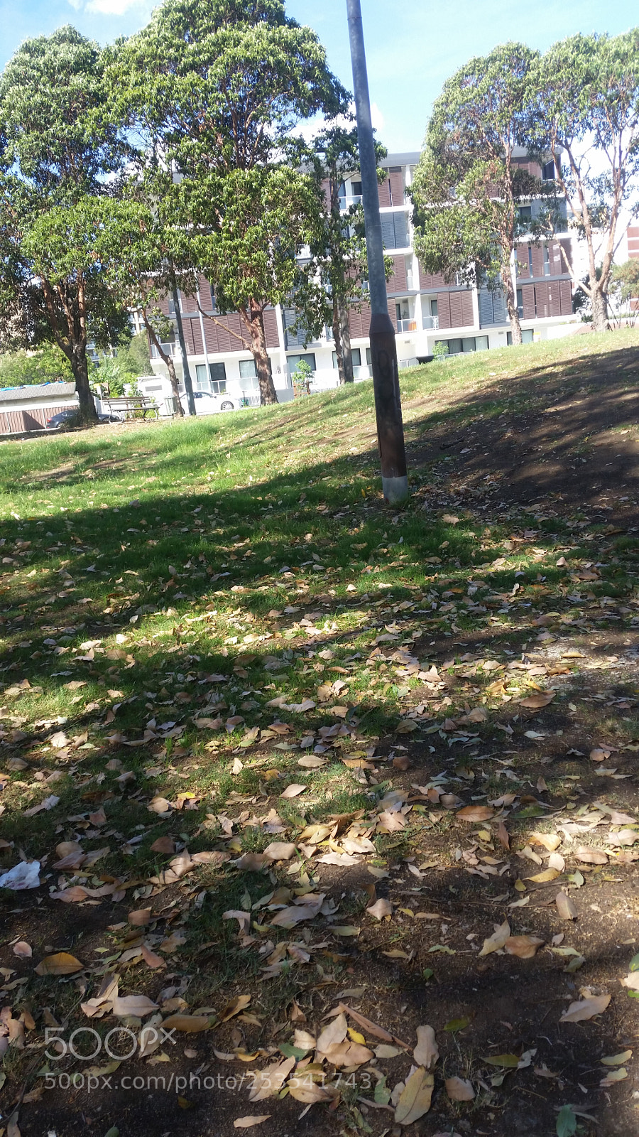 Samsung Galaxy S5 sample photo. Untitled photography