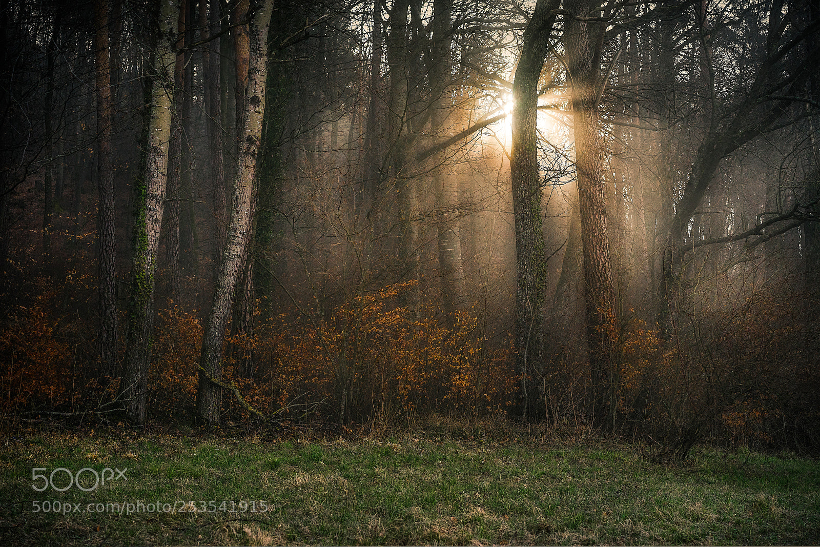 Sony a7 sample photo. Sunrise photography