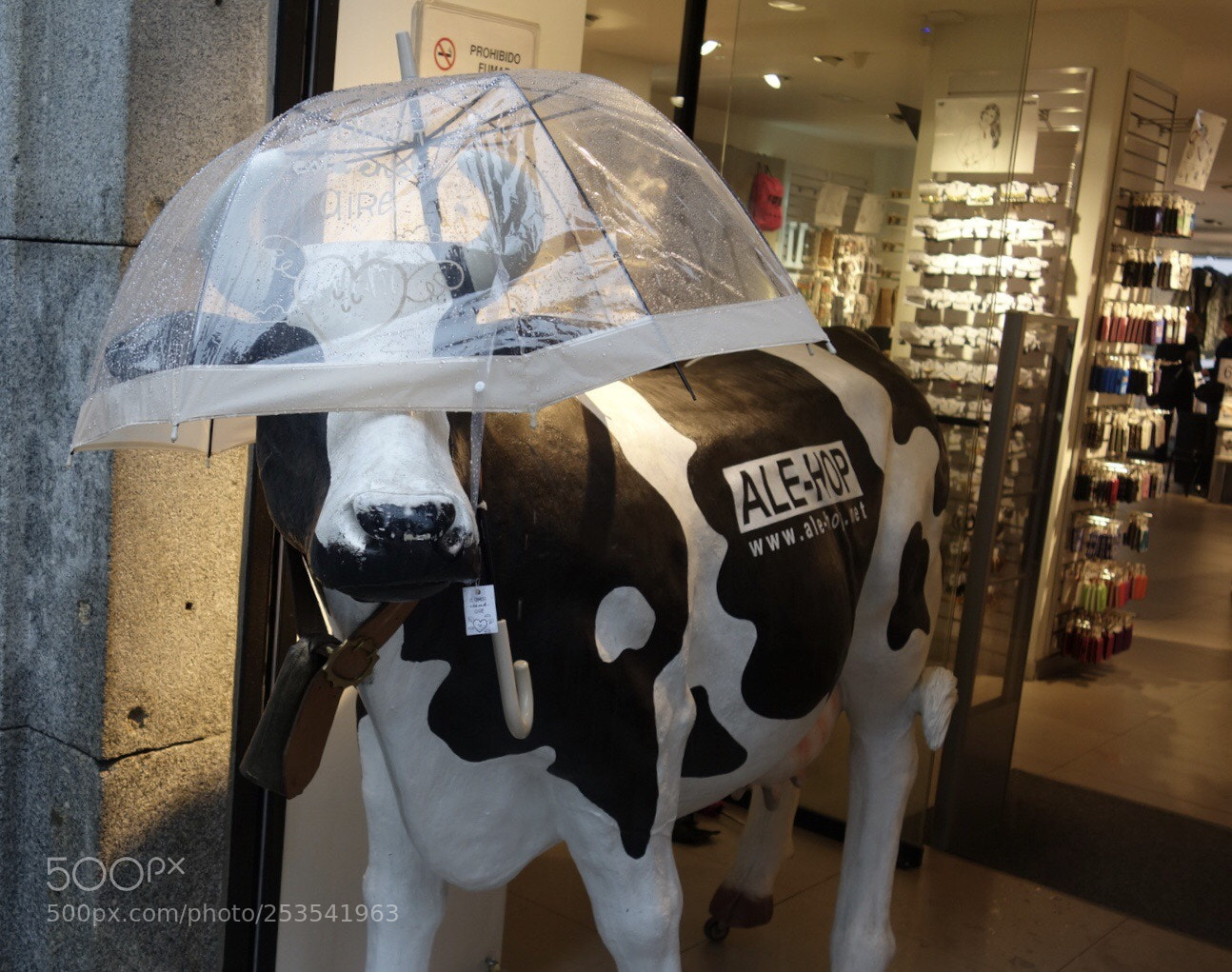 Sony Cyber-shot DSC-RX100 II sample photo. Under-cower! photography