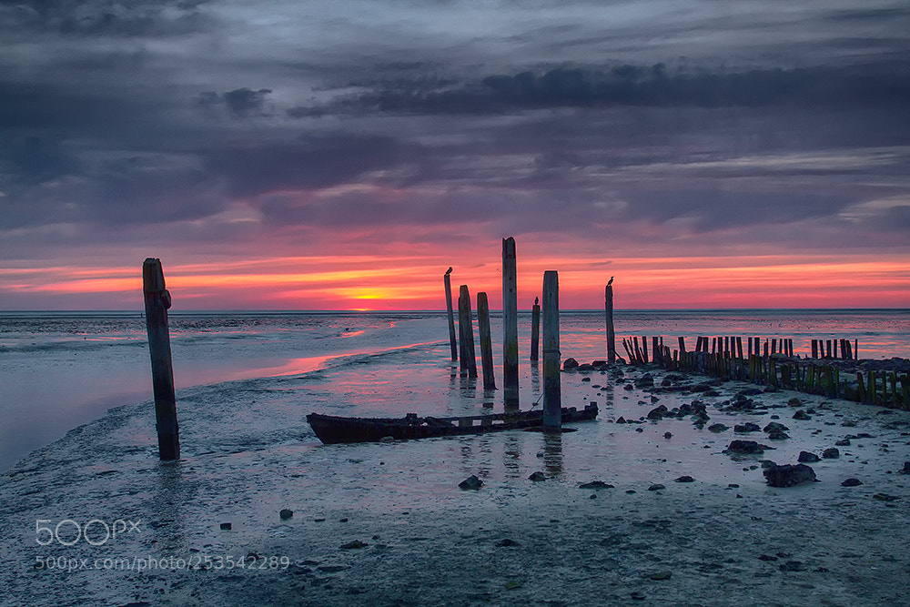 Canon EOS 7D sample photo. Texel (the netherlands) photography