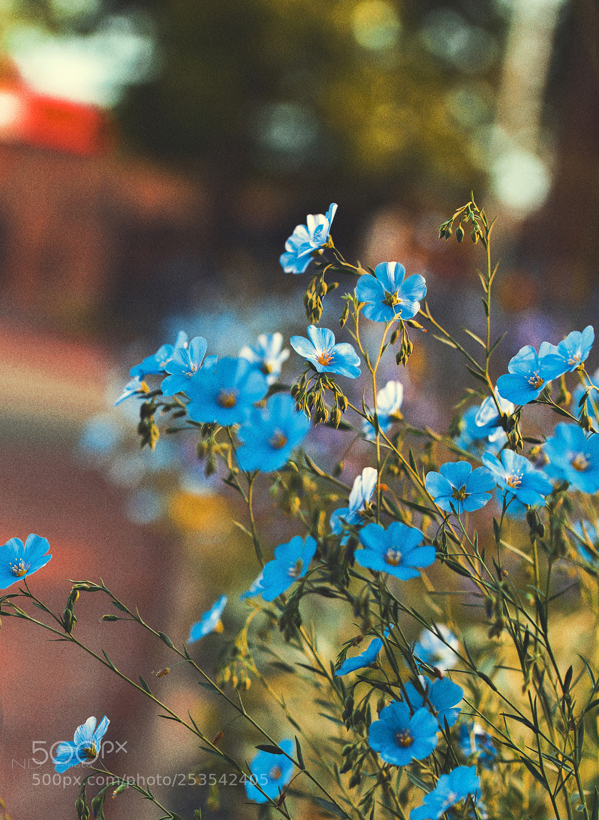Nikon D610 sample photo. M a v n photography