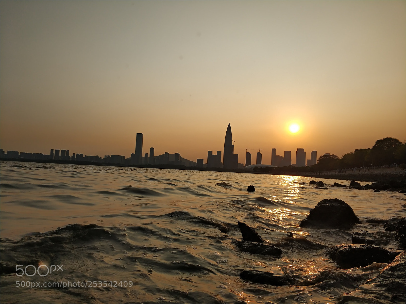 Xiaomi MI6 sample photo. Untitled photography