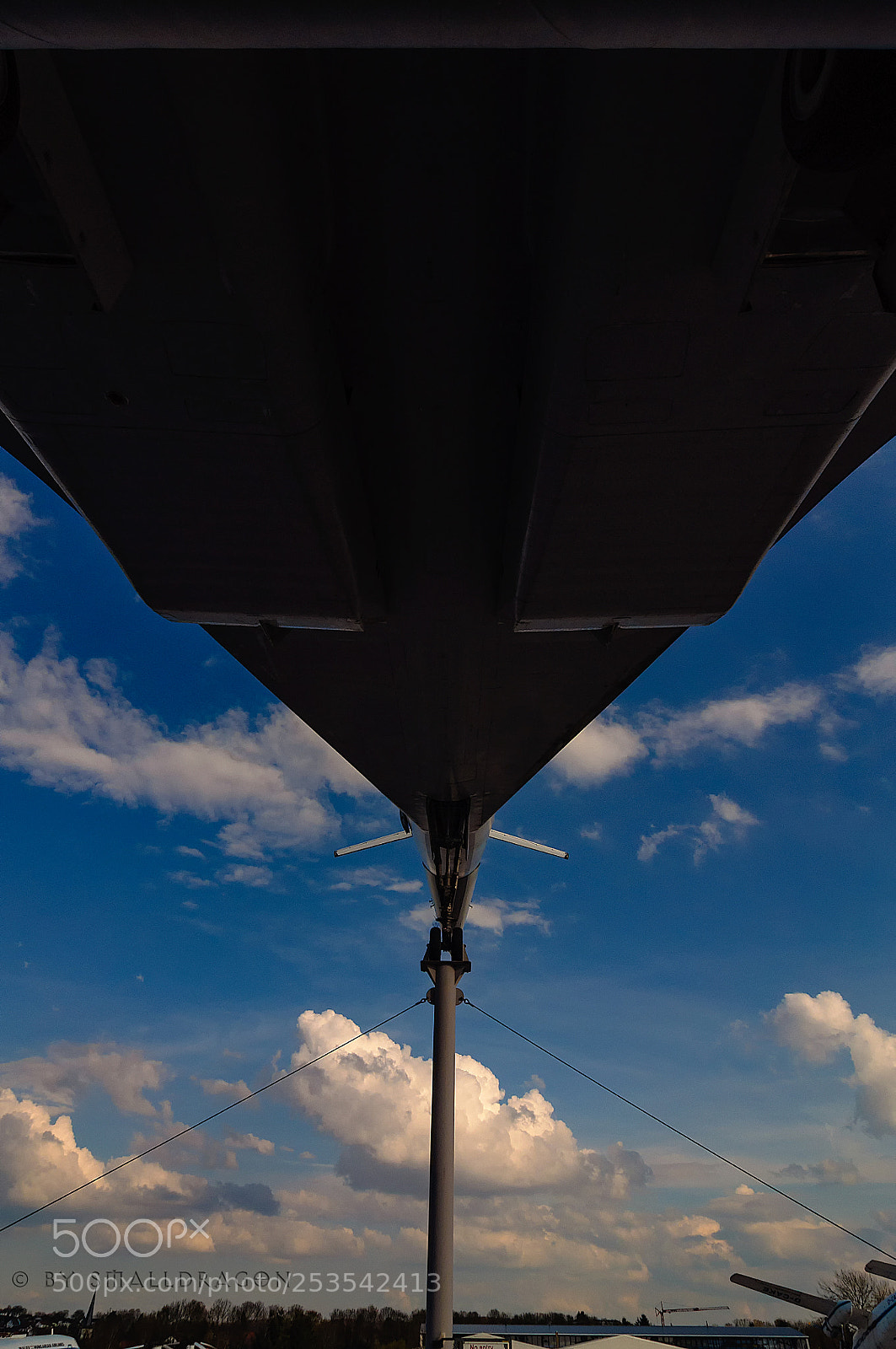 Nikon D5000 sample photo. Up in the sky photography