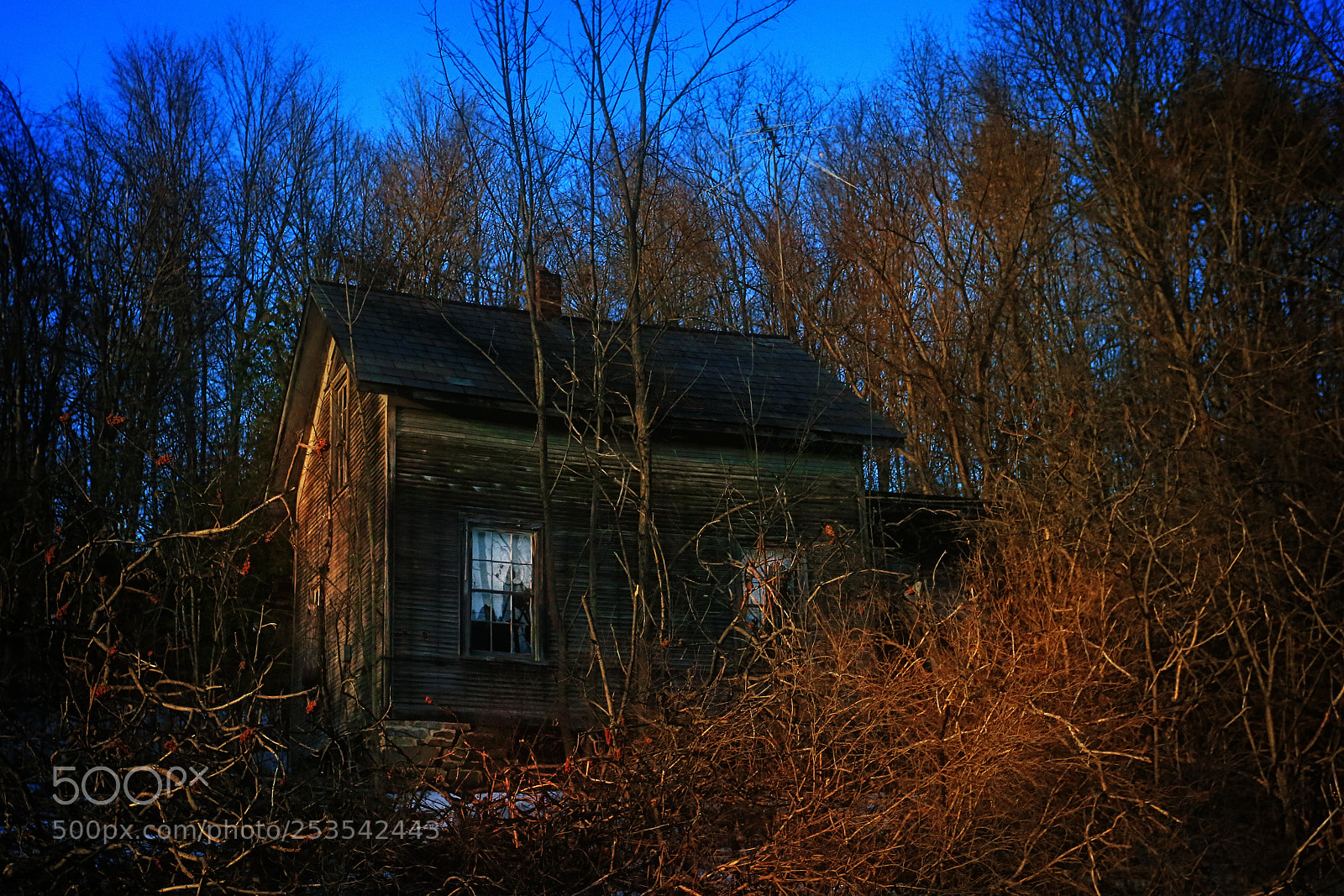 Canon EOS-1D X sample photo. Abandoned four photography