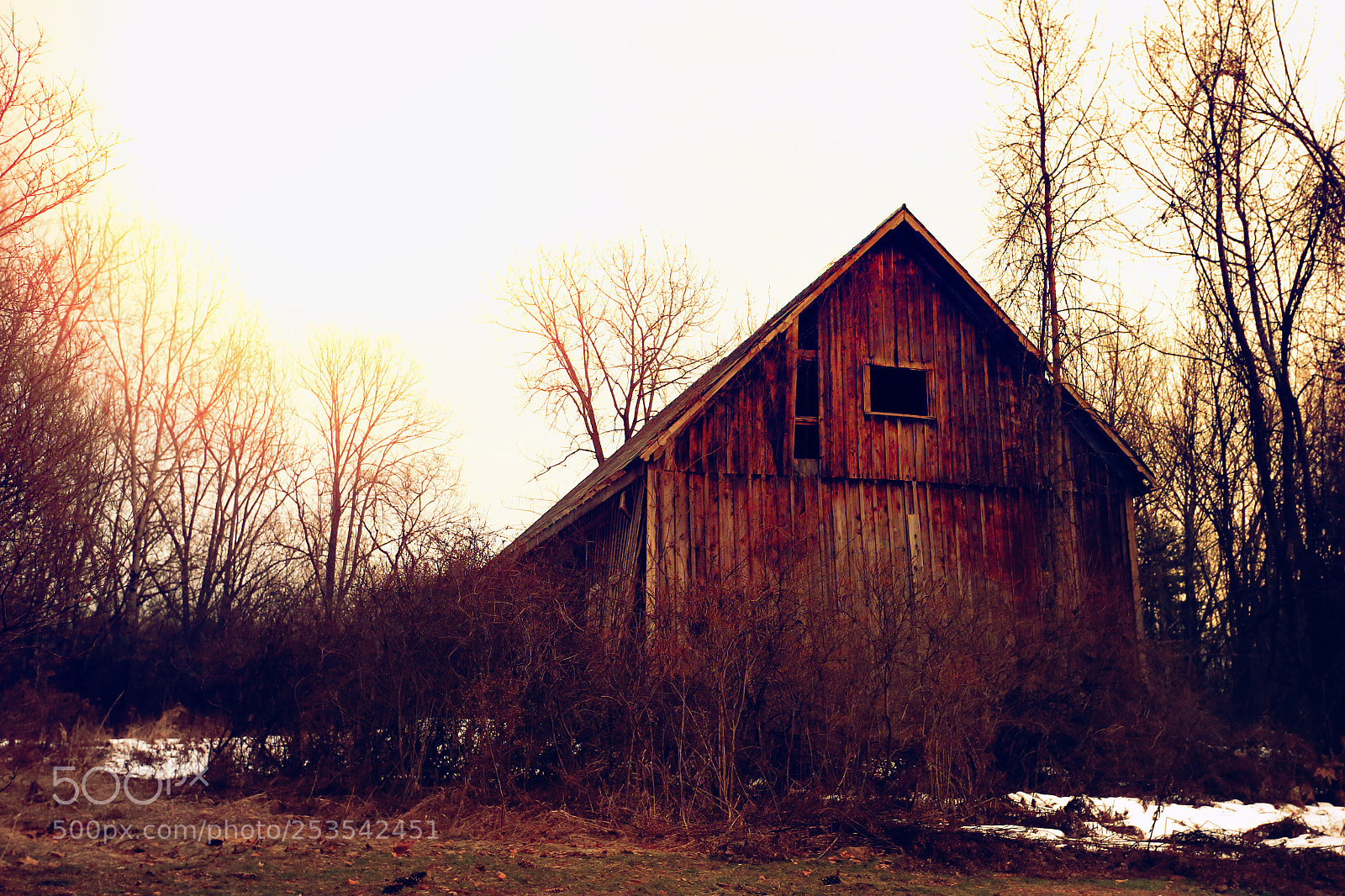 Canon EOS-1D X sample photo. Fading fast photography