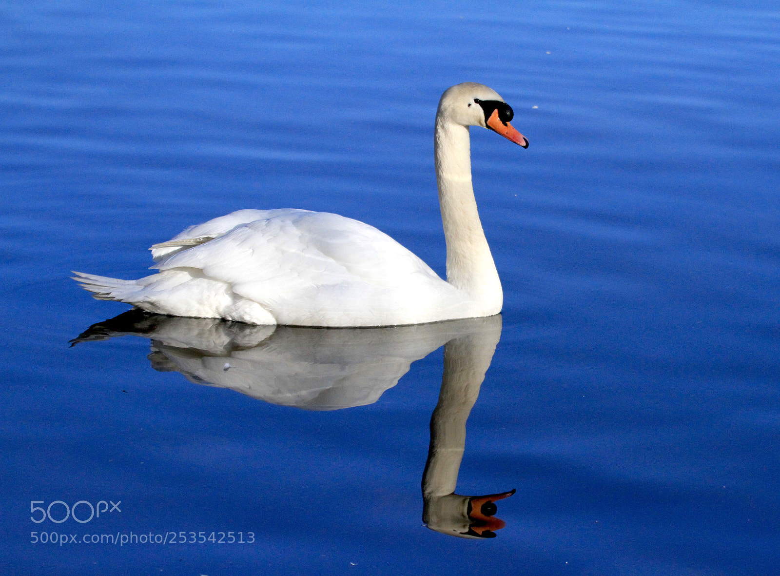Canon EOS 7D sample photo. ... photography
