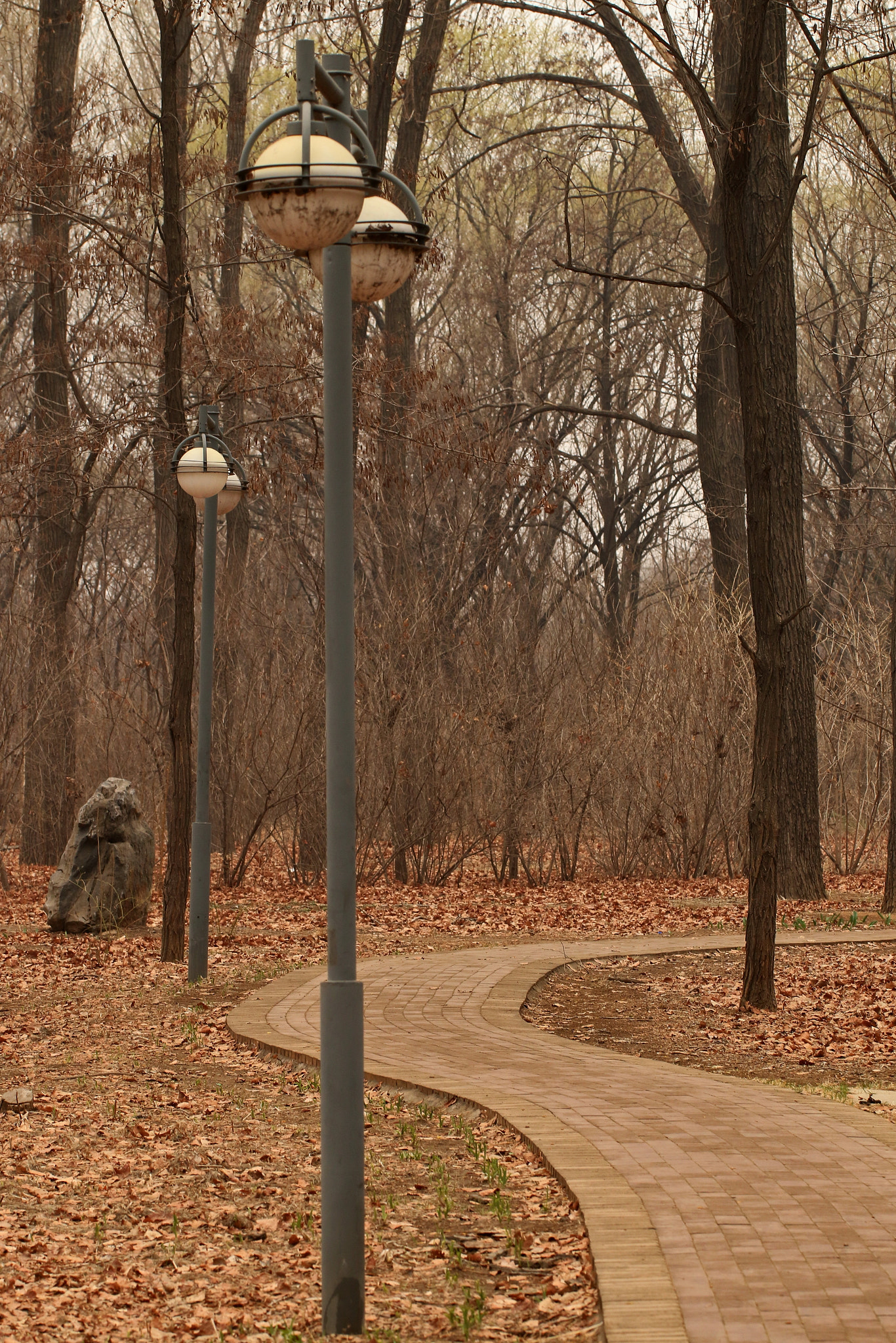 Canon EF 100mm F2.8L Macro IS USM sample photo. Road photography