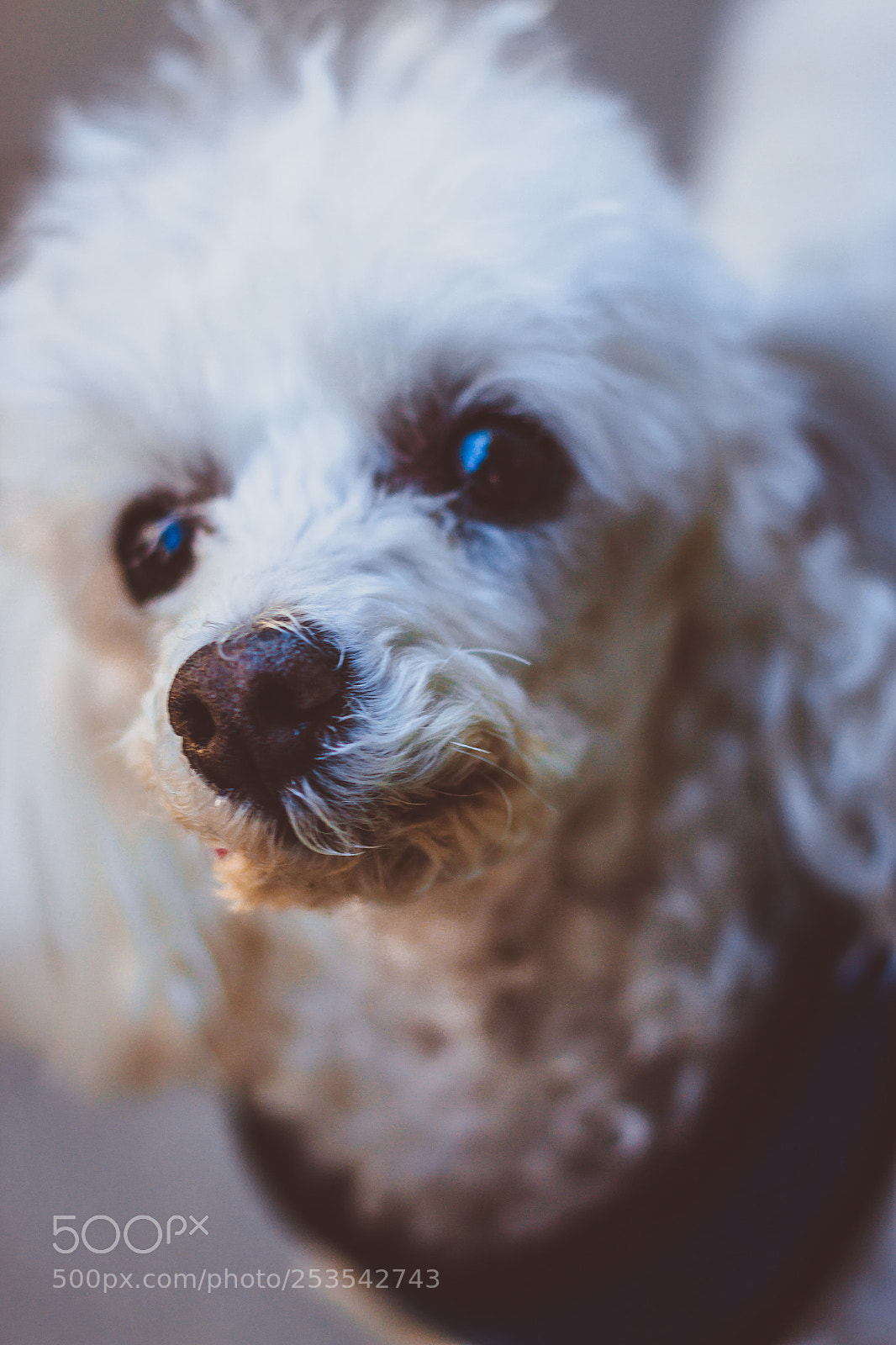Canon EOS 70D sample photo. Img photography