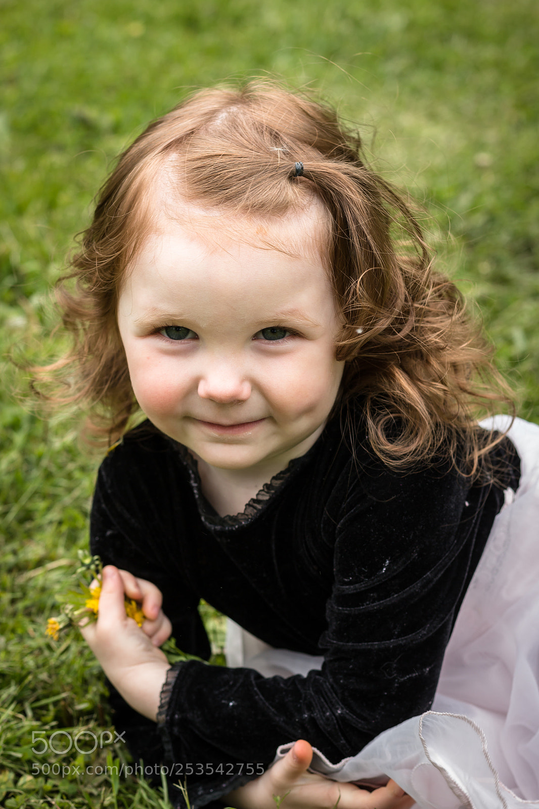 Canon EOS 70D sample photo. Img photography