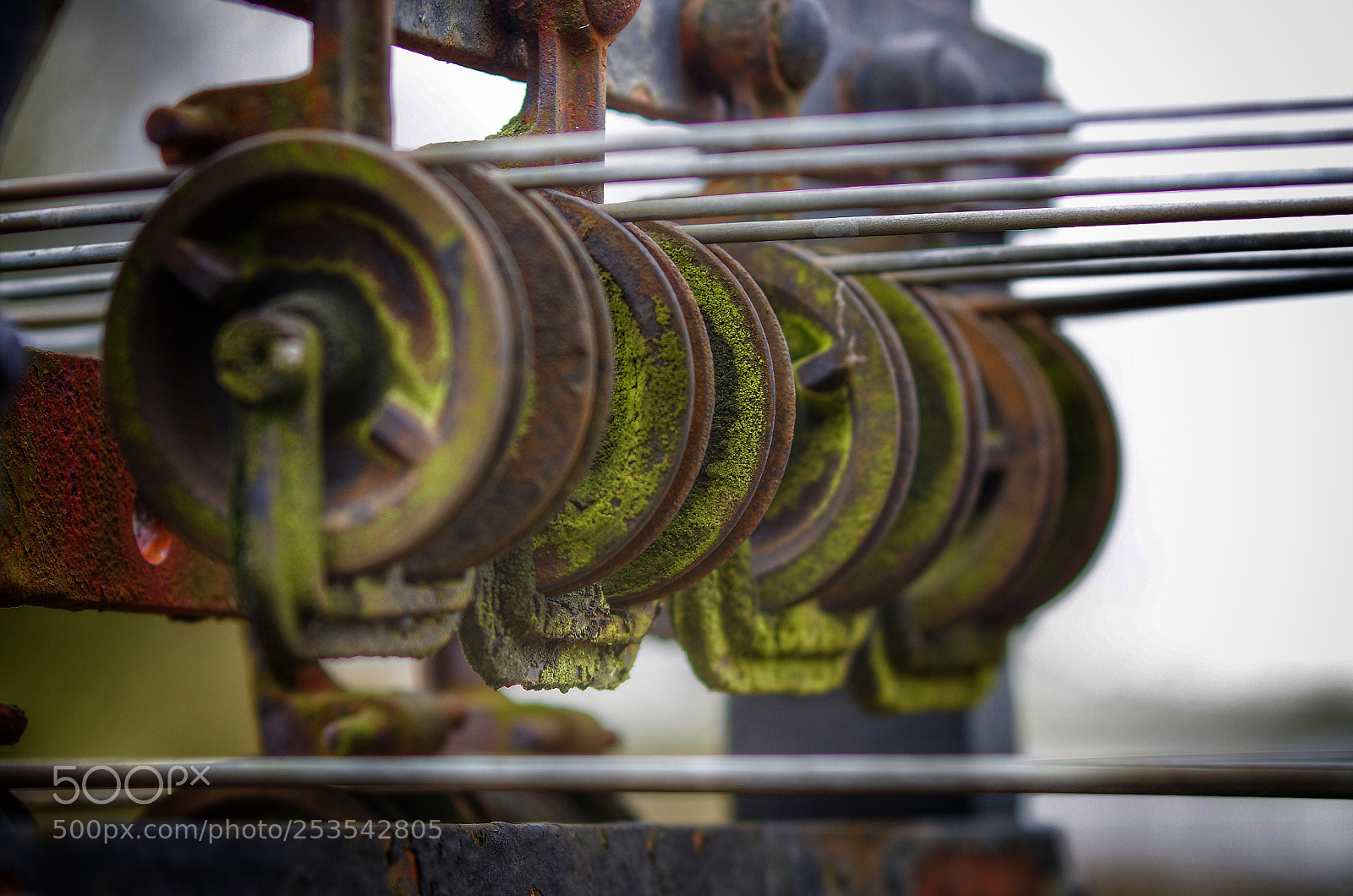 Pentax K-5 II sample photo. Signal control photography