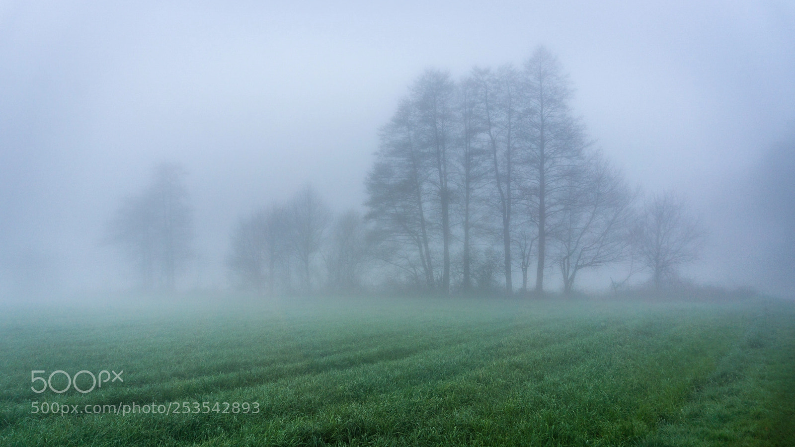 Sony a6000 sample photo. Misty morning photography