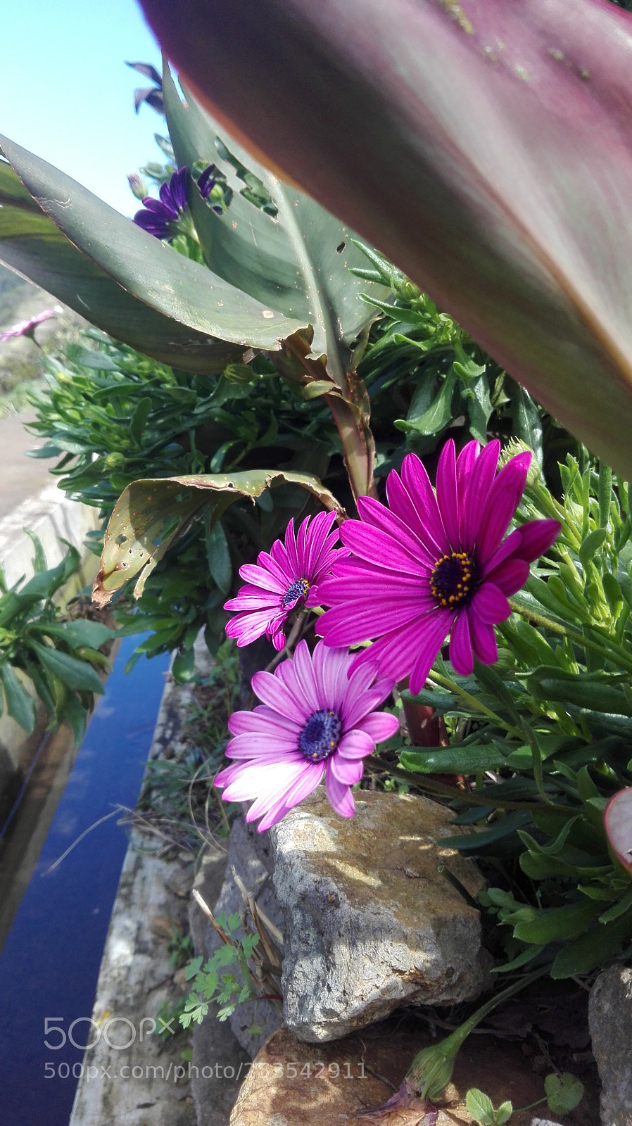 HUAWEI P8 Lite sample photo. Untitled photography