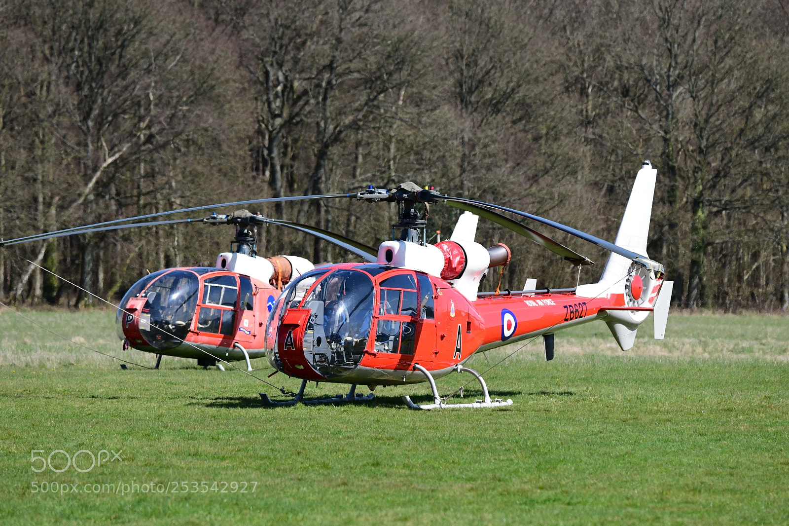 Nikon D500 sample photo. Awaiting the next sortie photography