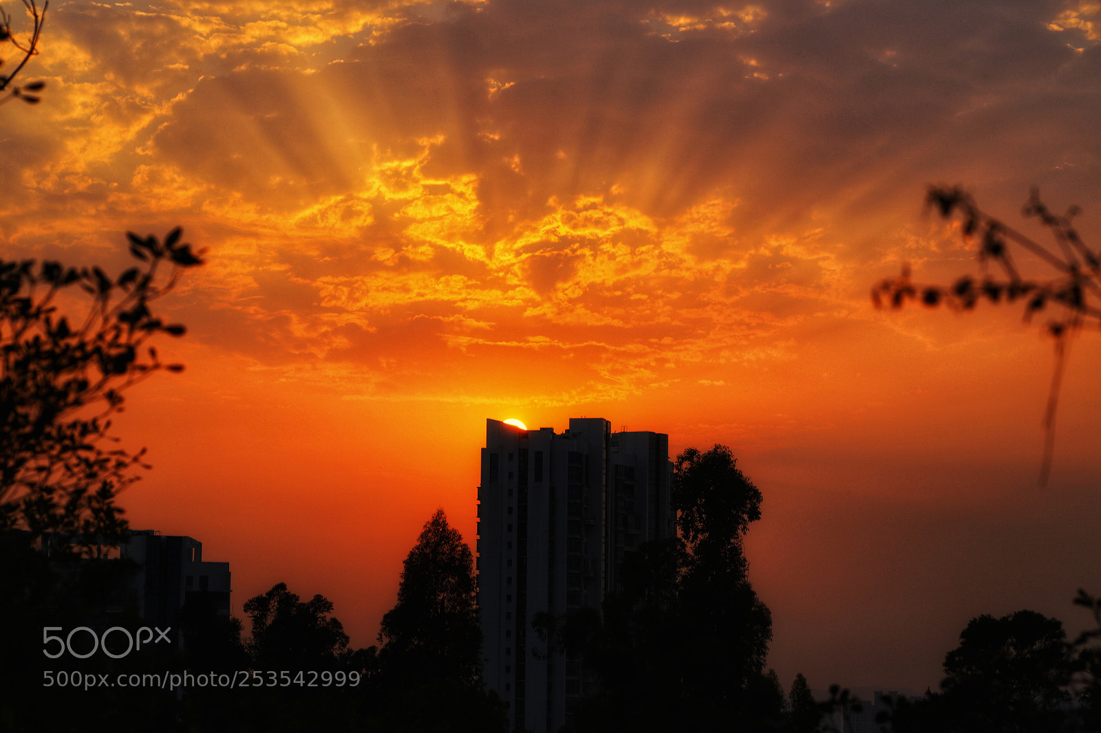 Canon EOS 6D Mark II sample photo. Sunset at xiamen. photography