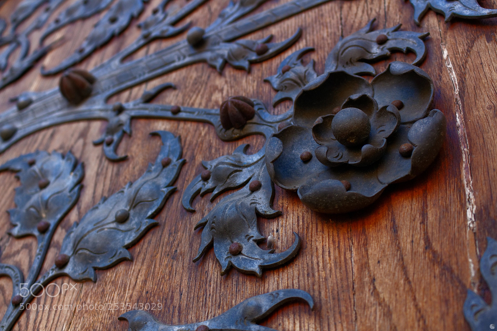 Canon EOS 700D (EOS Rebel T5i / EOS Kiss X7i) sample photo. Iron rose photography