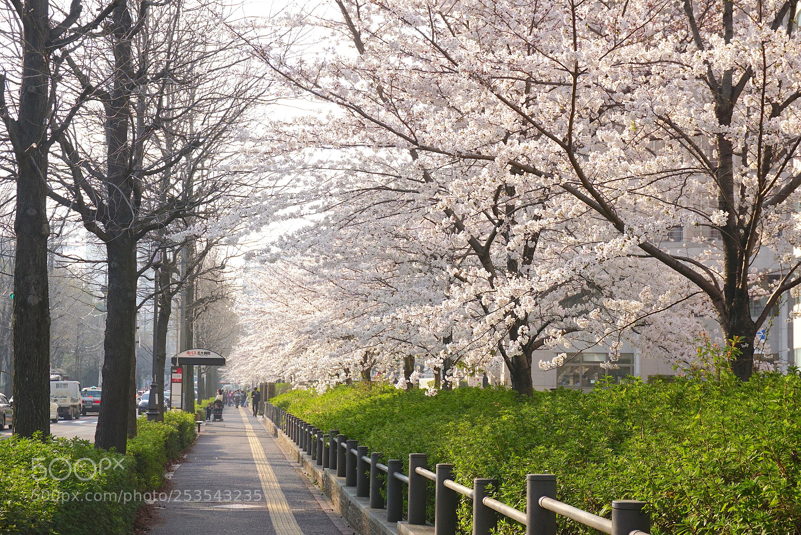 Sony a6000 sample photo. Dsc photography